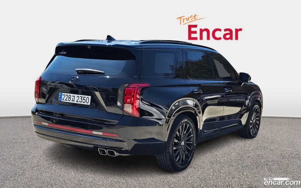 Hyundai Palisade 3.8 4WD 2024 — миниатюра 2