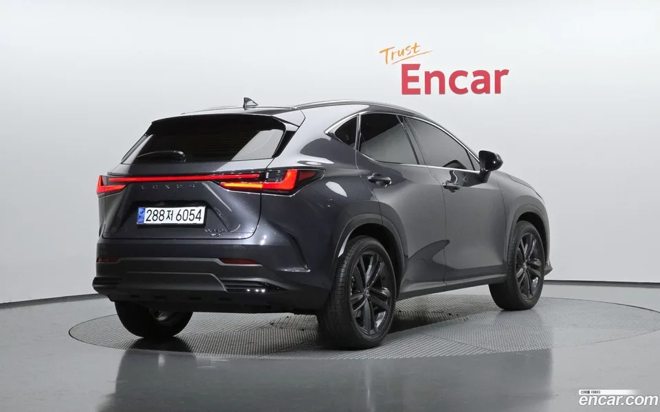 Lexus NX 350h 2024 — миниатюра 2