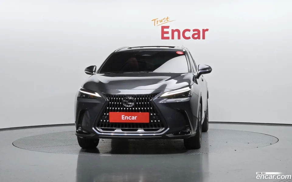 Lexus NX 350h 2024 — миниатюра 3