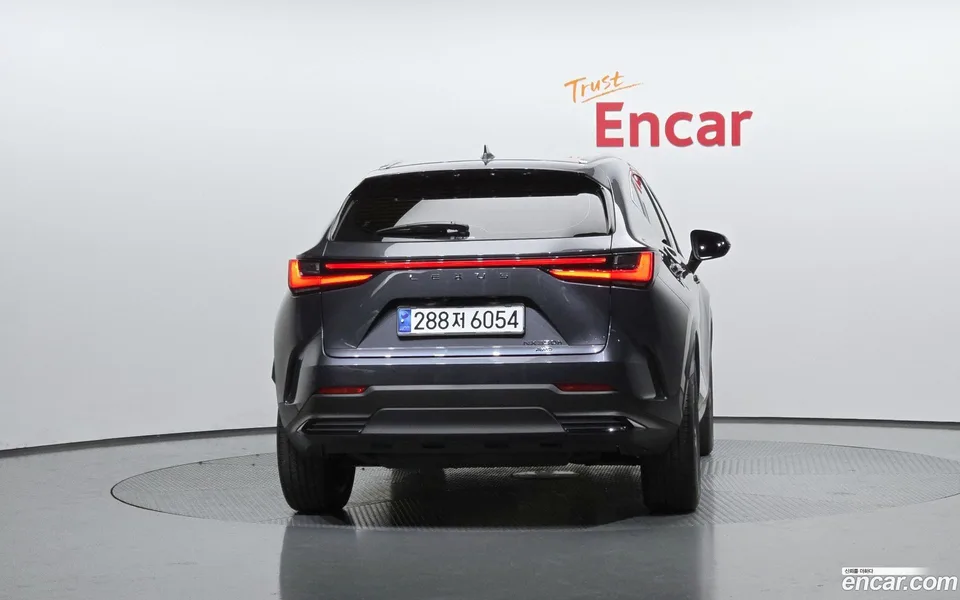 Lexus NX 350h 2024 — миниатюра 4