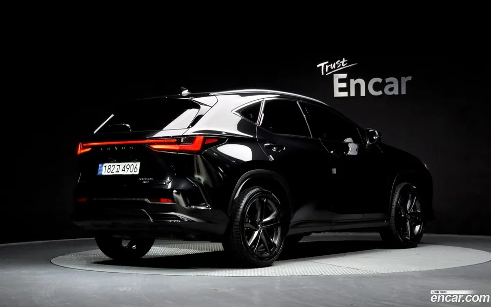 Lexus NX 350h 2024 — миниатюра 2