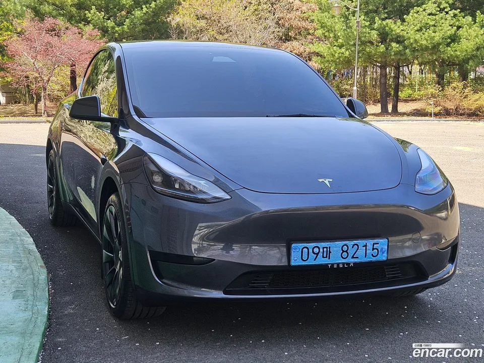 Tesla Model Y RWD 2025 — миниатюра 2