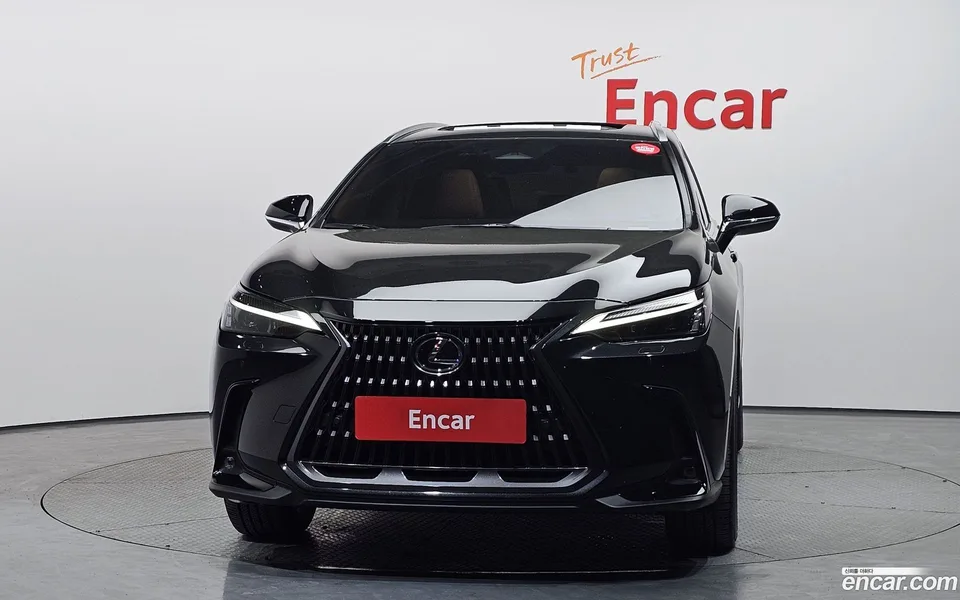 Lexus NX 350h 2023 — миниатюра 3