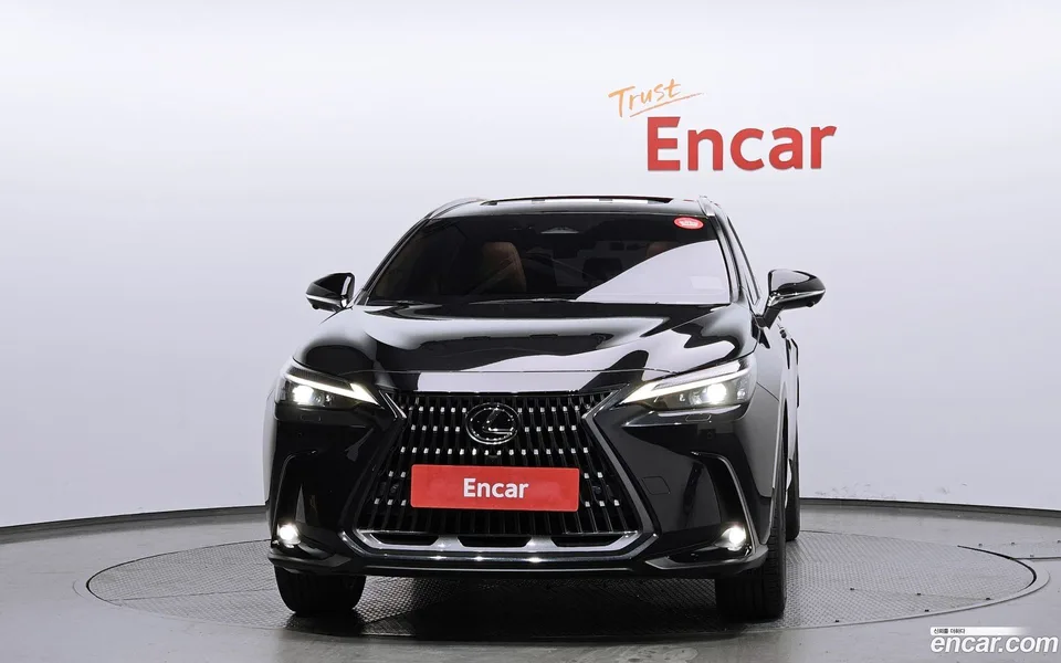 Lexus NX 350h 2023 — миниатюра 3