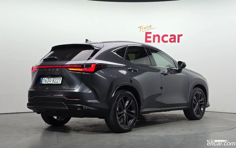 Lexus NX 350h 2023 — миниатюра 2
