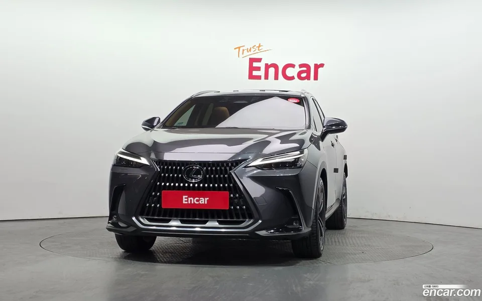 Lexus NX 350h 2023 — миниатюра 3