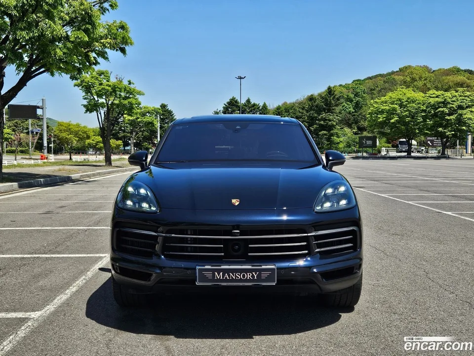 Porsche Cayenne 3.0 2022 — миниатюра 2