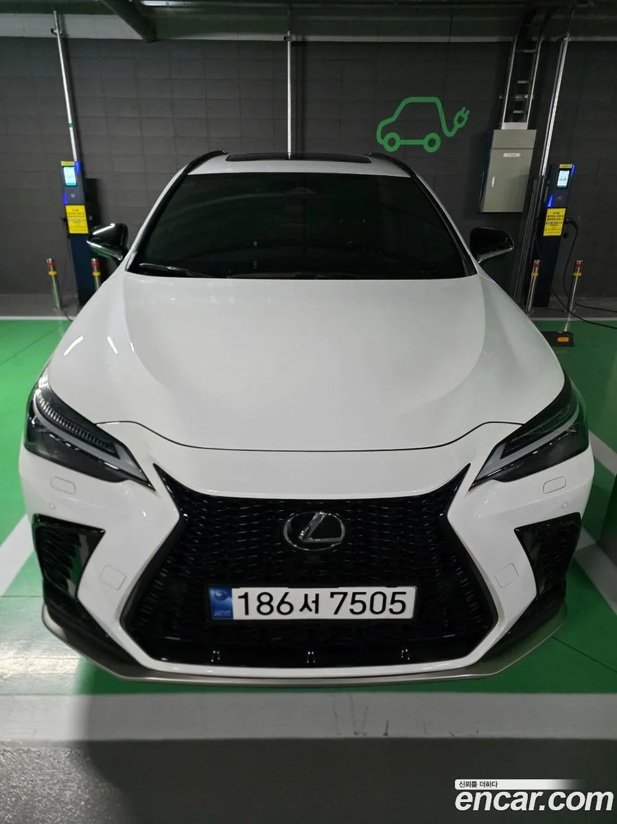 Lexus NX 450h+ F-Sport 2023 — фото 1, купить с доставкой в Москву