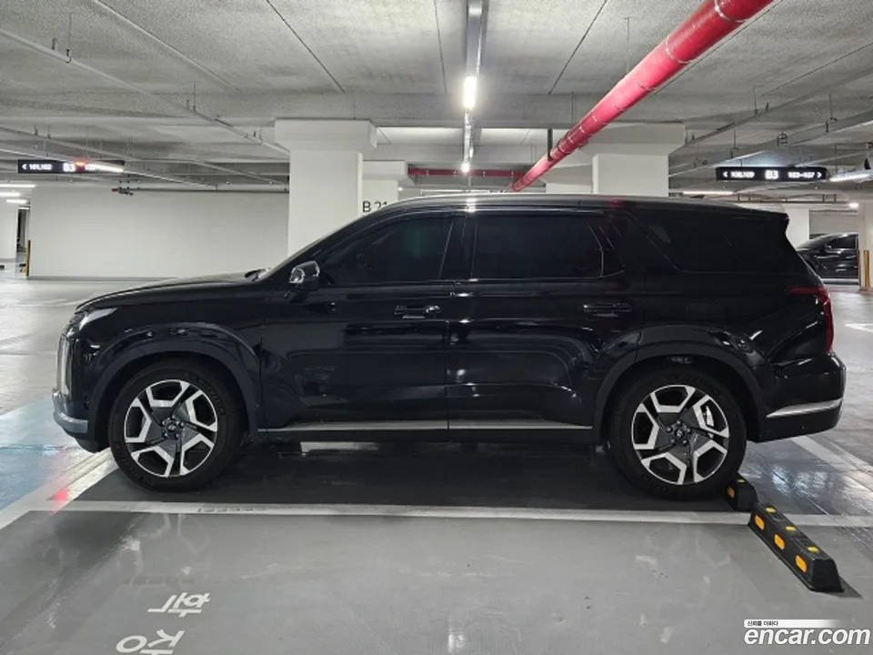 Hyundai Palisade 3.8 2WD 2024 — миниатюра 2
