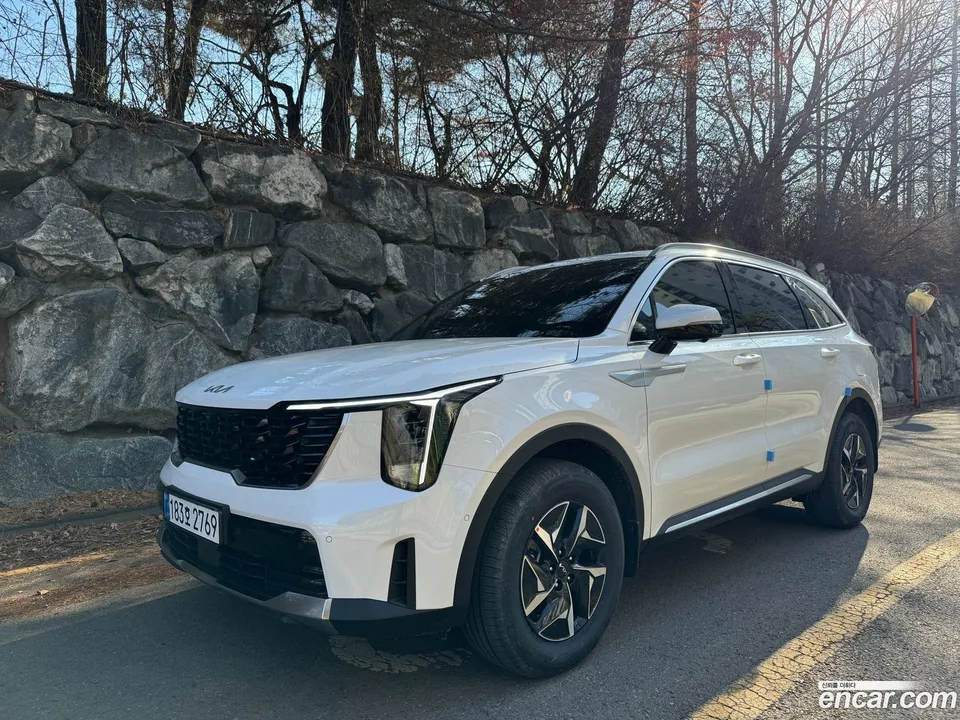 Kia Sorento HEV 1.6 2WD 2025 — фото 1, купить с доставкой в Москву