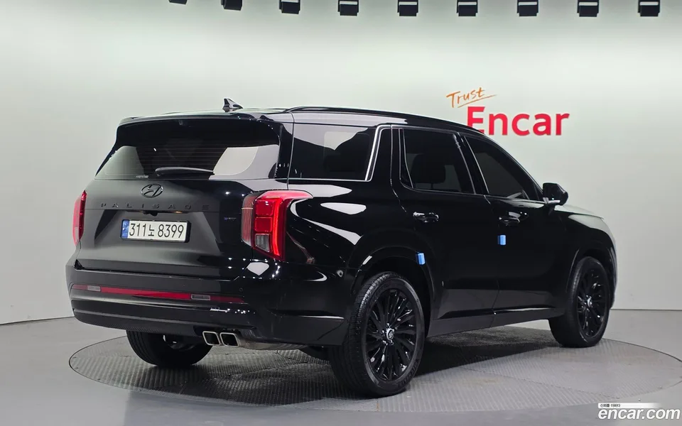Hyundai Palisade 3.8 4WD 2024 — миниатюра 2