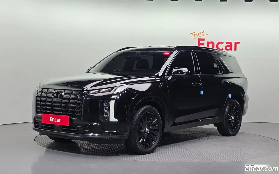 Hyundai Palisade 3.8 4WD 2024 — фото 1, купить с доставкой в Москву