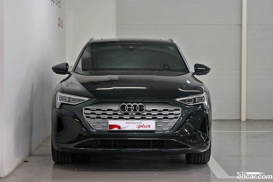 Audi Q8 e-tron 55 2024 — миниатюра 3