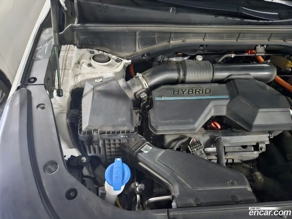 Kia Sorento HEV 1.6 2WD 2024 — миниатюра 5