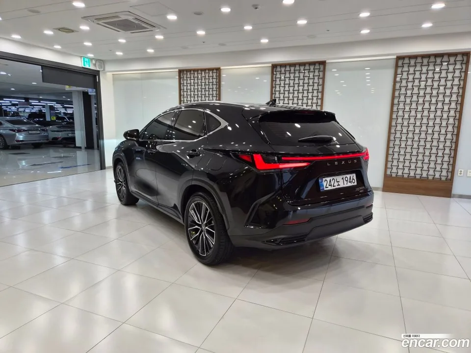 Lexus NX 350h 2025 — миниатюра 2