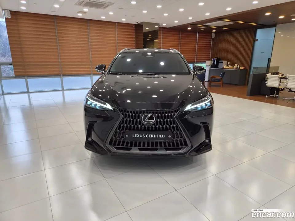 Lexus NX 350h 2025 — миниатюра 3