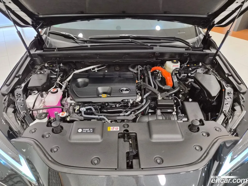 Lexus NX 350h 2025 — миниатюра 5