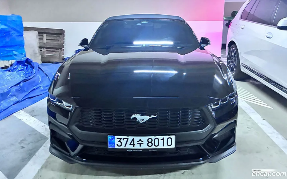 Ford Mustang 2.3 2024 — фото 1, купить с доставкой в Москву