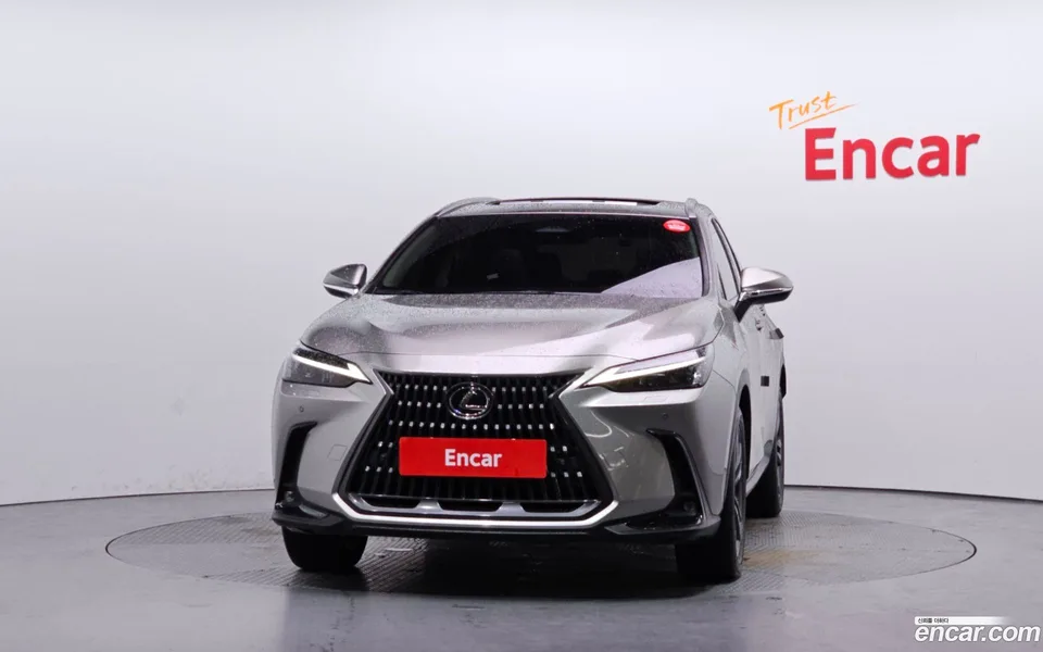 Lexus NX 350h 2023 — миниатюра 2