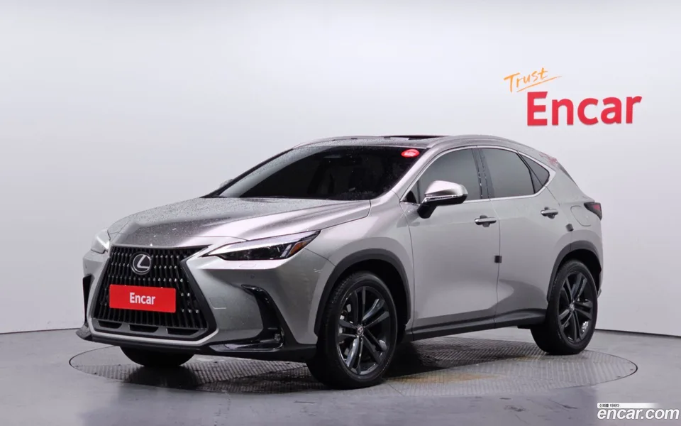 Lexus NX 350h 2023 — фото 1, купить с доставкой в Москву