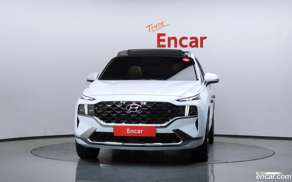 Hyundai Santa Fe 2.2 4WD 2022 — миниатюра 3