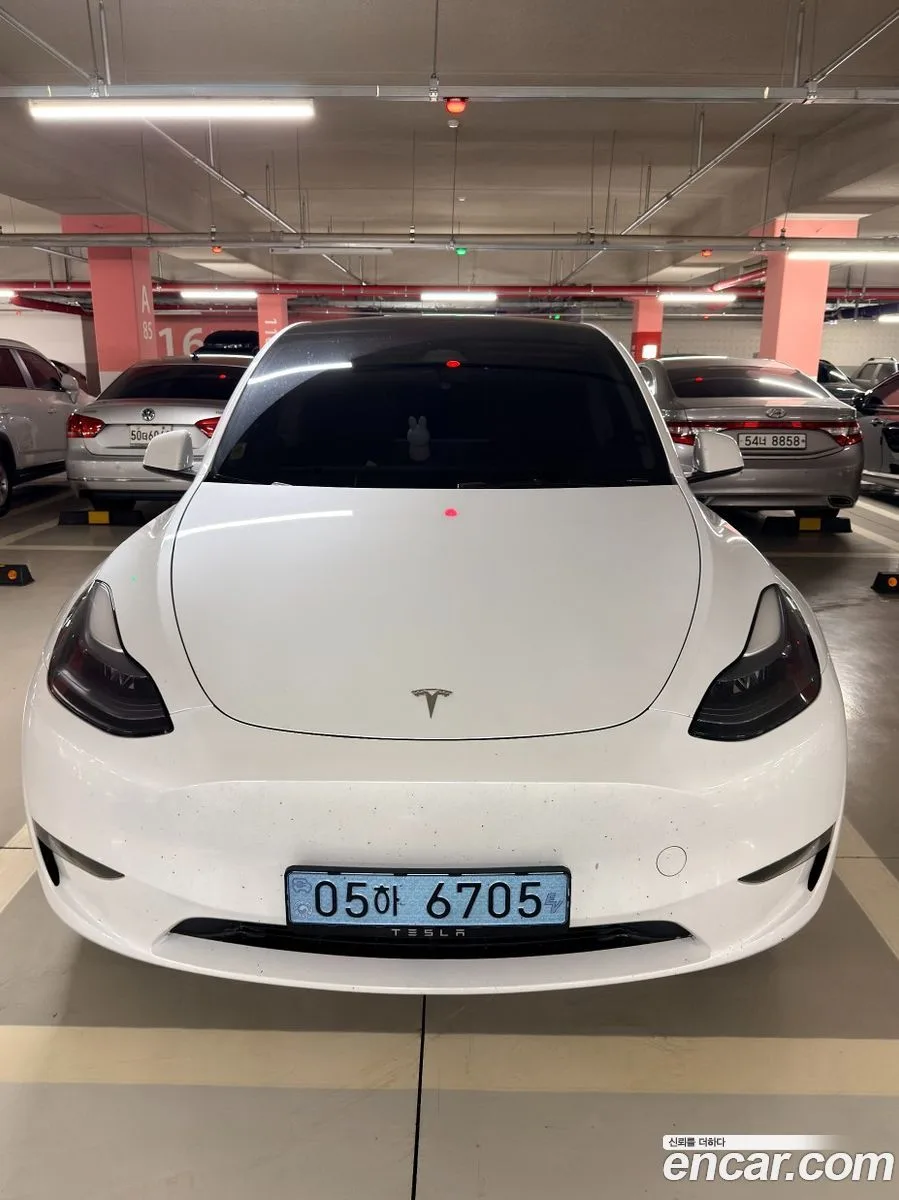 Tesla Model Y AWD 2024 — фото 1, купить с доставкой в Москву