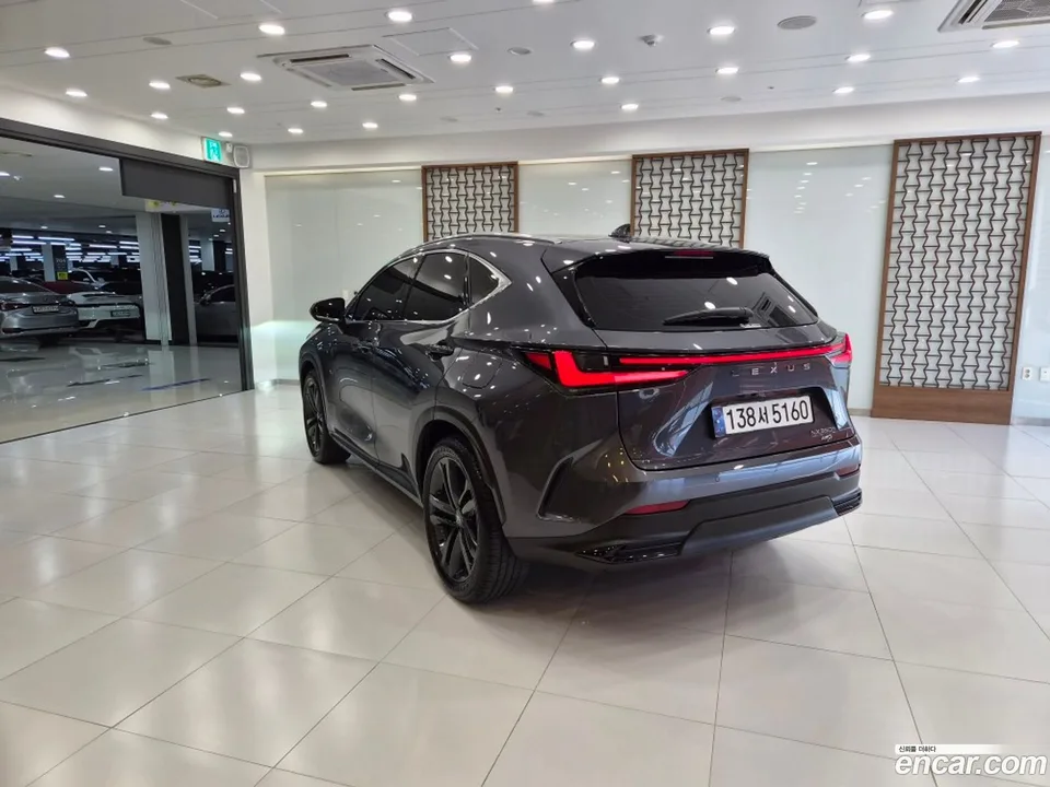 Lexus NX 350h 2025 — миниатюра 2