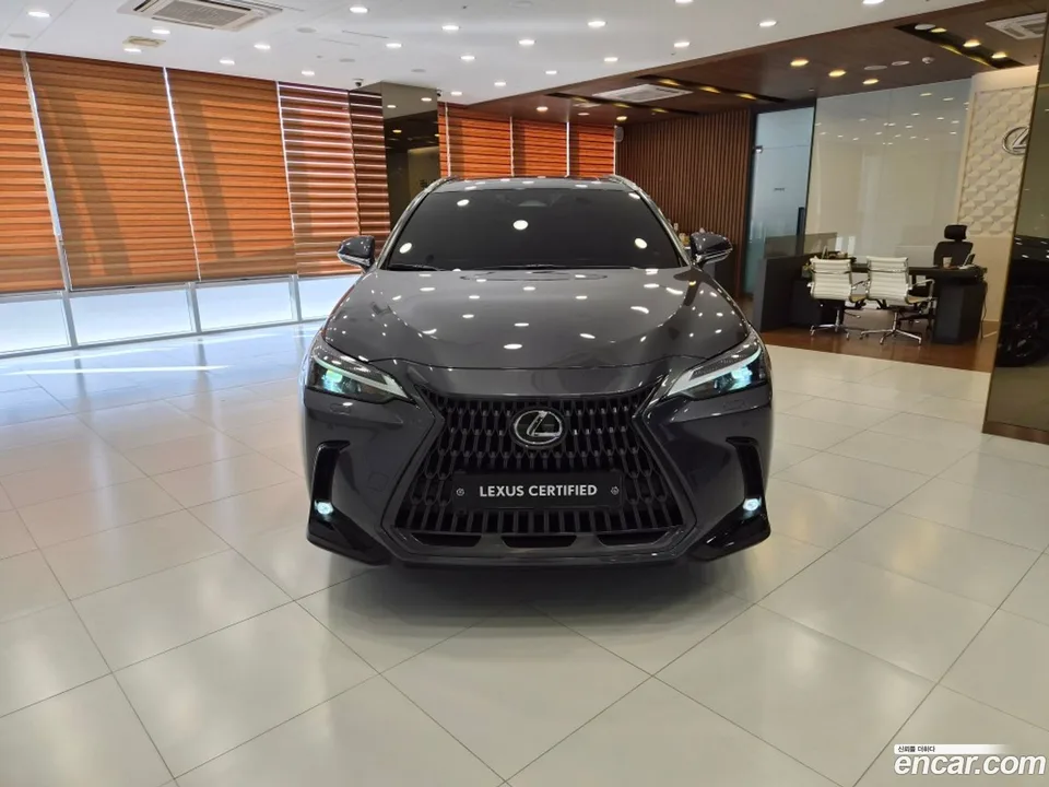 Lexus NX 350h 2025 — миниатюра 3