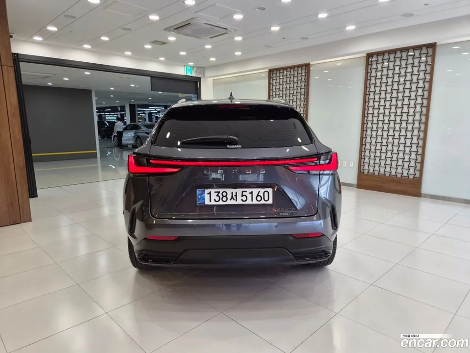 Lexus NX 350h 2025 — миниатюра 4