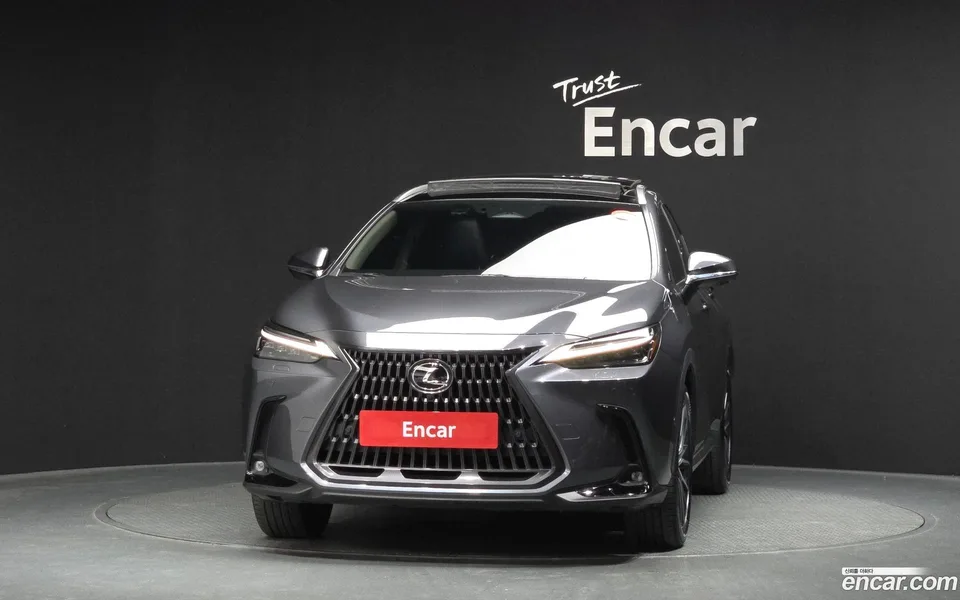 Lexus NX 350h 2024 — миниатюра 3
