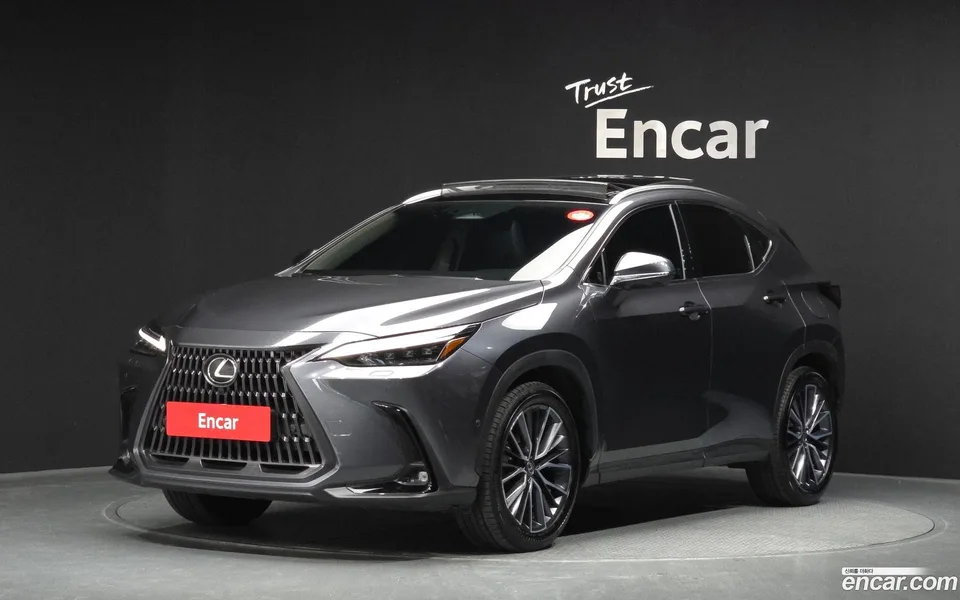 Lexus NX 350h 2024 — фото 1, купить с доставкой в Москву