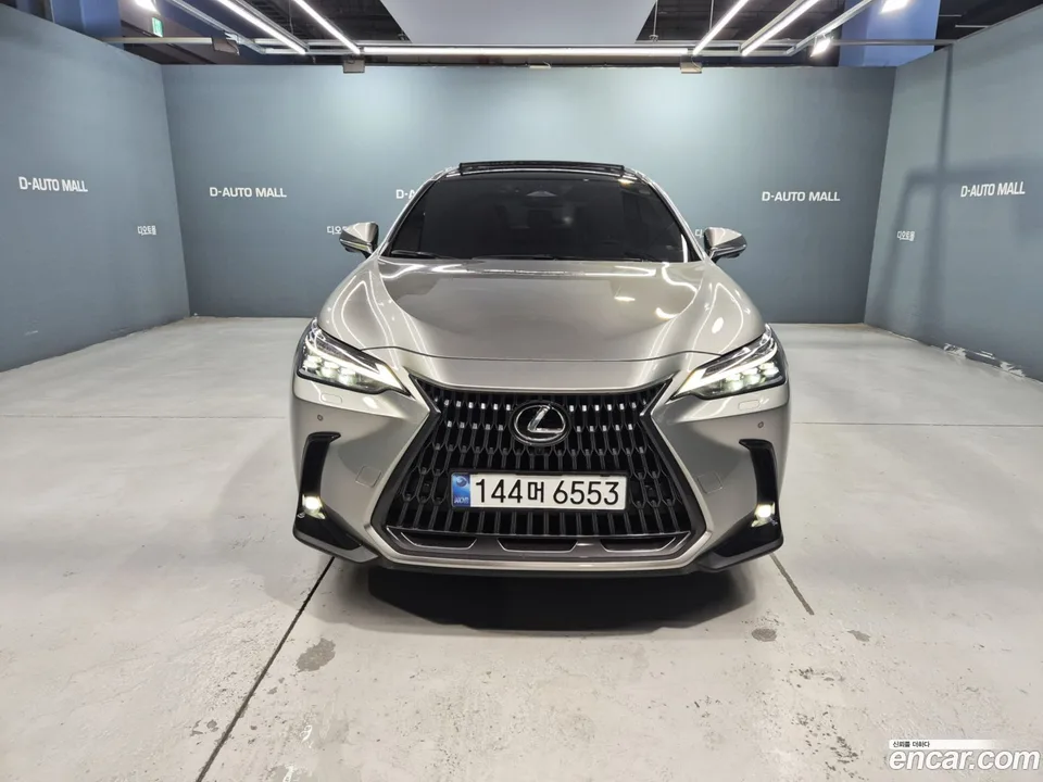 Lexus NX 350h 2024 — миниатюра 2