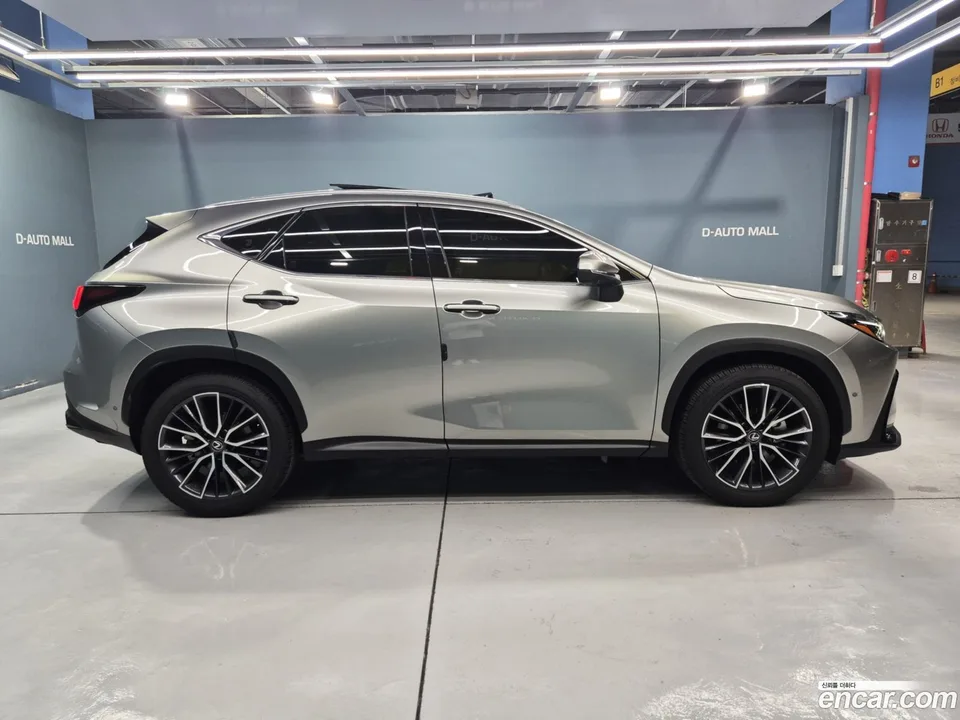 Lexus NX 350h 2024 — миниатюра 4