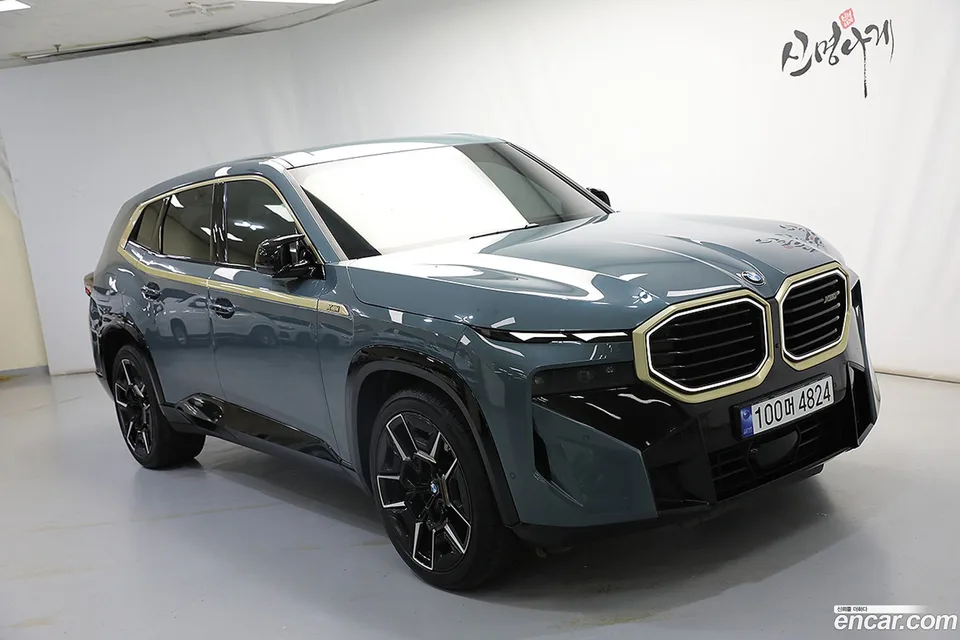 BMW XM 4.4 2023 — миниатюра 2