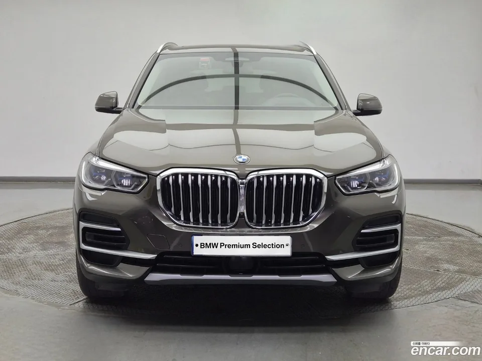 BMW X5 xDrive 30d xLine 2023 — миниатюра 2