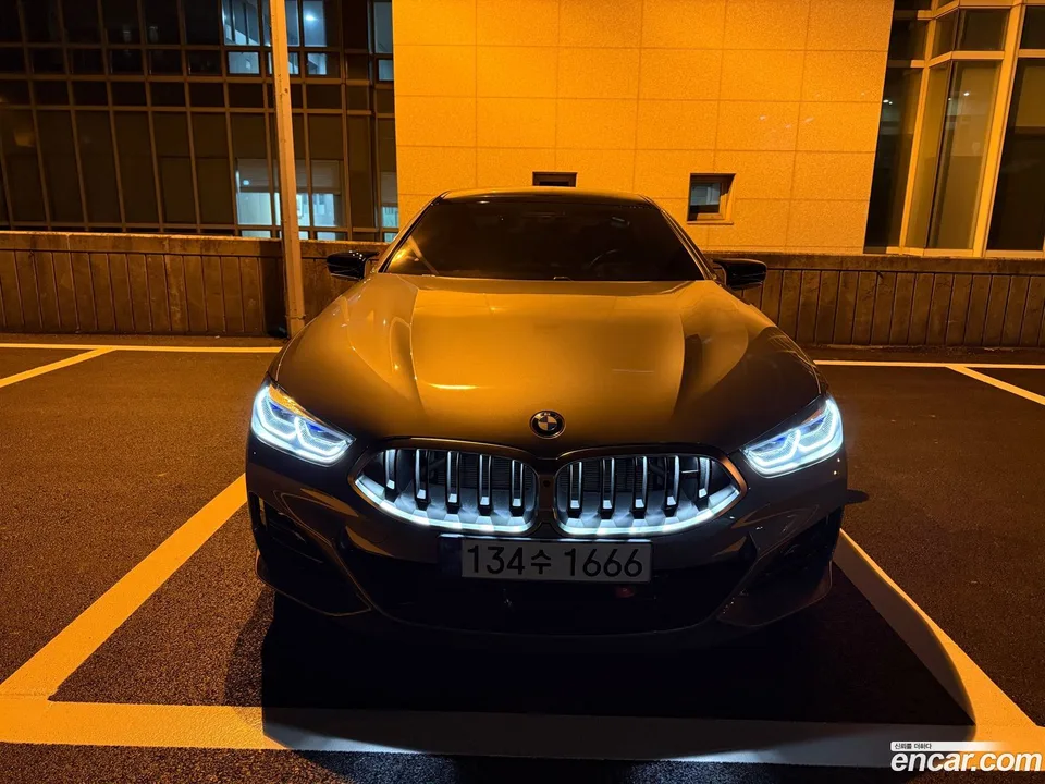 BMW 8 Series M850i xDrive 2023 — фото 1, купить с доставкой в Москву
