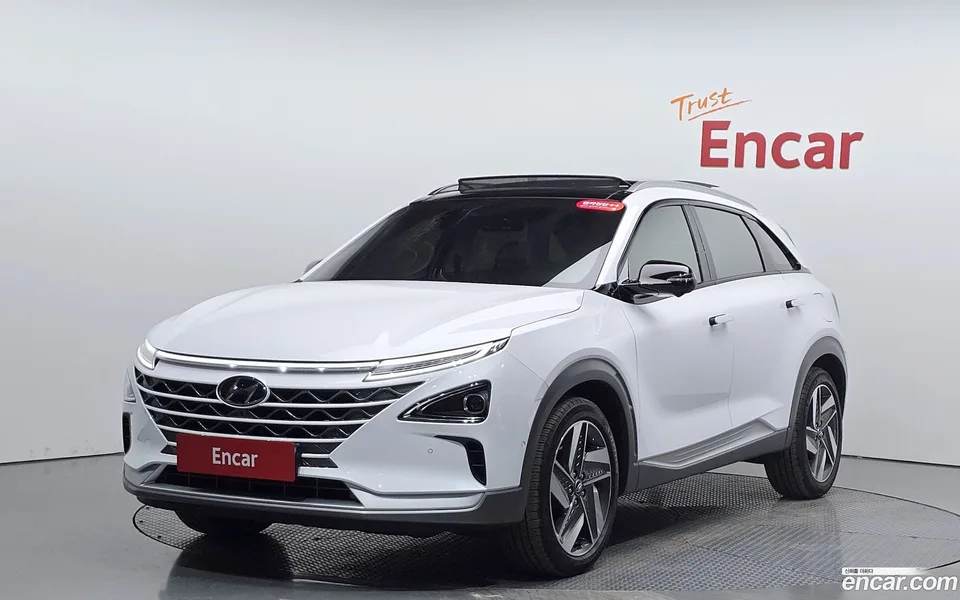 Hyundai Nexo 2022 — фото 1, купить с доставкой в Москву