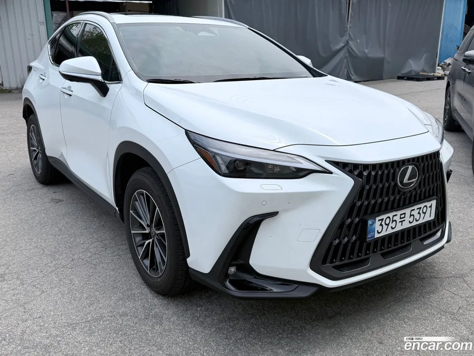 Lexus NX 450h+ 2026 — миниатюра 2