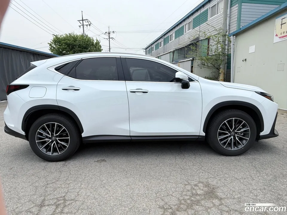 Lexus NX 450h+ 2026 — миниатюра 3