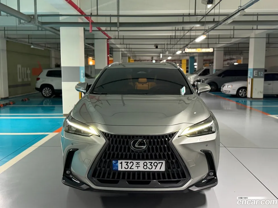 Lexus NX 350h 2024 — миниатюра 2