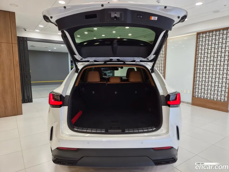 Lexus NX 350h 2024 — миниатюра 2
