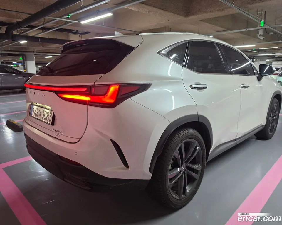 Lexus NX 350h 2025 — миниатюра 2