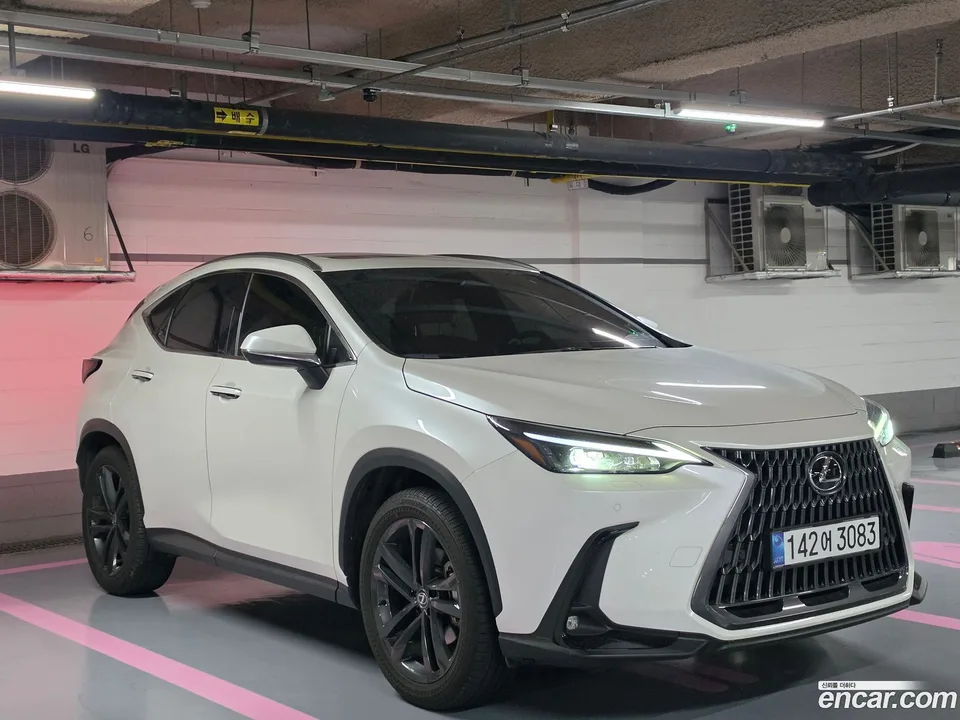 Lexus NX 350h 2025 — миниатюра 5