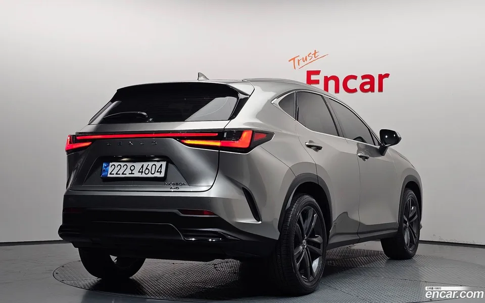Lexus NX 350h 2024 — миниатюра 2