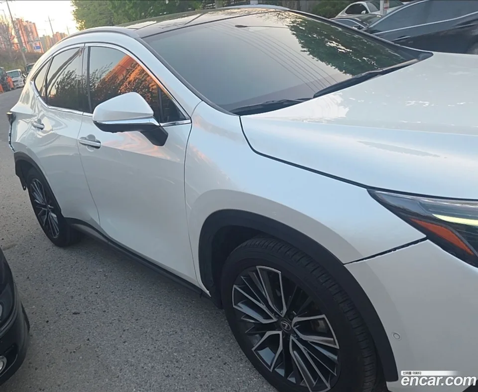 Lexus NX 350h 2023 — миниатюра 2