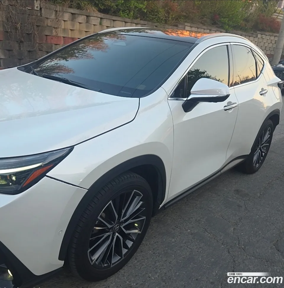 Lexus NX 350h 2023 — миниатюра 3