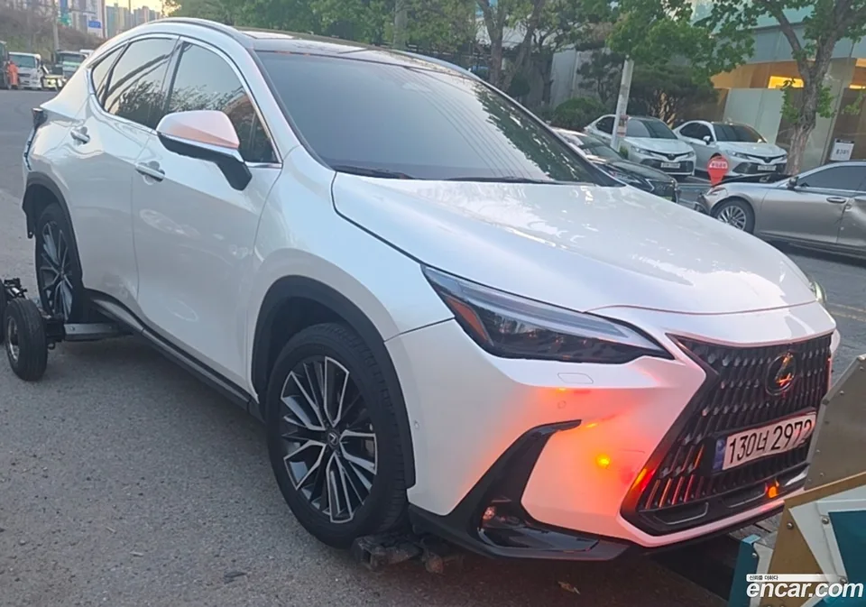 Lexus NX 350h 2023 — миниатюра 4