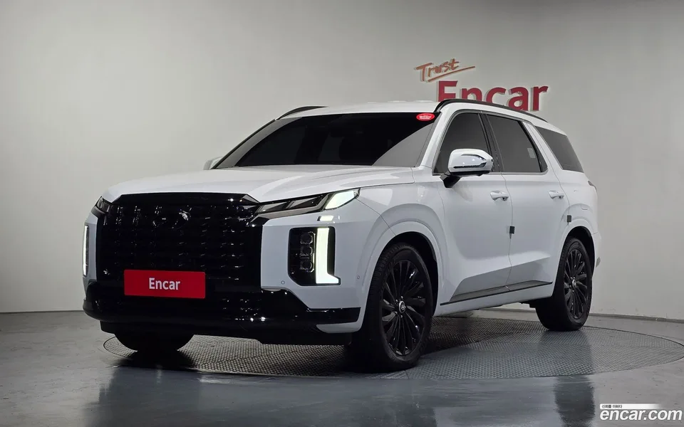 Hyundai Palisade 2.2 4WD 2023 — фото 1, купить с доставкой в Москву