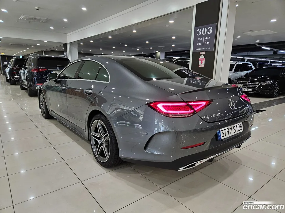 Mercedes-Benz CLS-Class CLS300d 4MATIC 2022 — миниатюра 2
