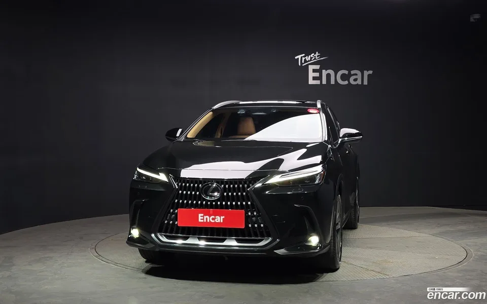 Lexus NX 350h 2023 — миниатюра 3